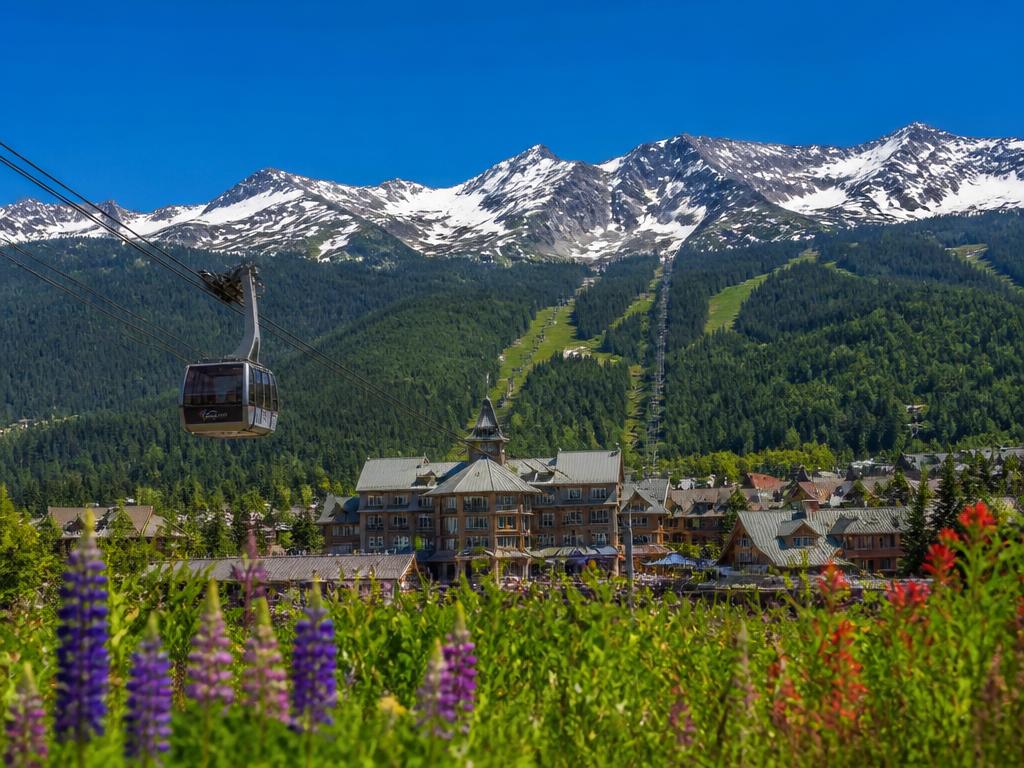Whistler